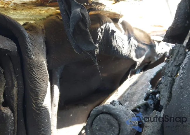 3GCPCREC2JG643895: 42923594