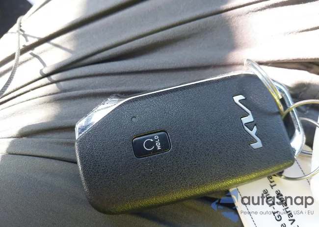 3KPF54AD2RE712860: 42924946