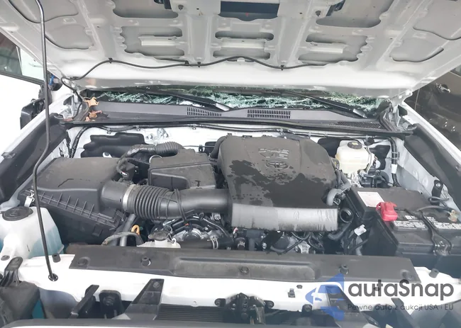 3TYCZ5AN6MT019962: 42926248