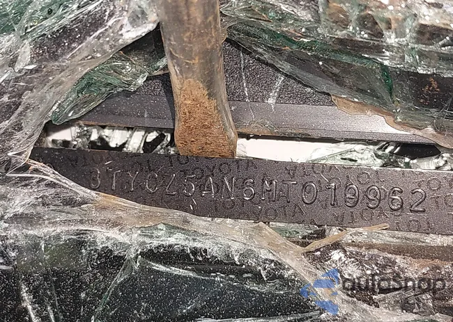 3TYCZ5AN6MT019962: 42926248