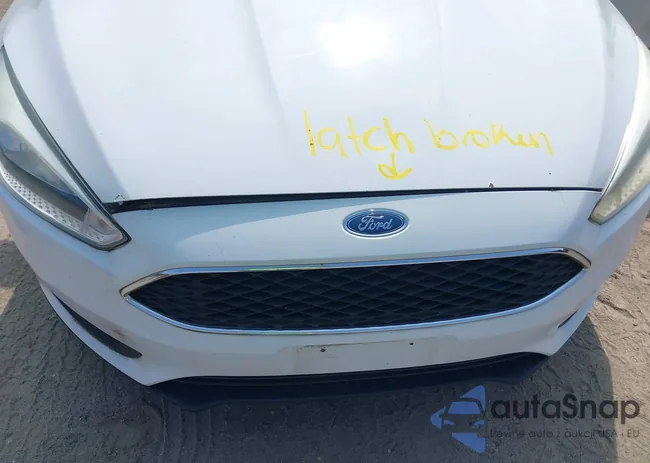 1FADP3E2XFL303695: 42925313