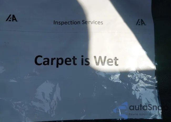 ZARFAMEV4K7599861: 42925446