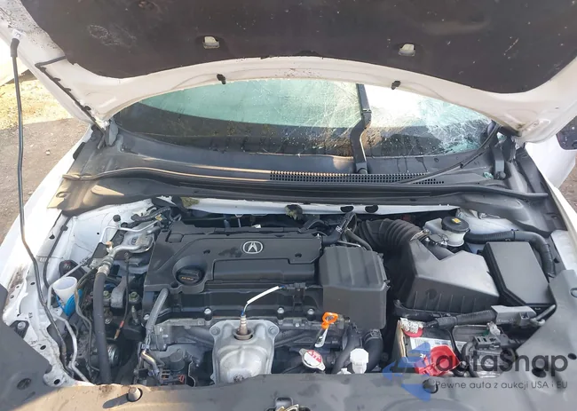 19UDE2F71KA012336: 42928085