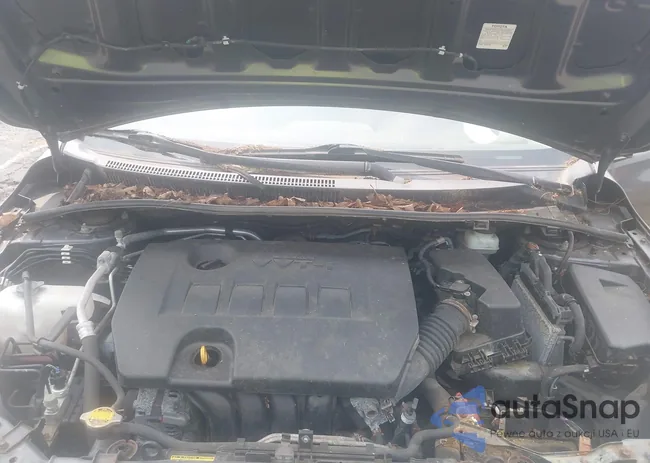 JTDBU4EE5B9135319: 42928243