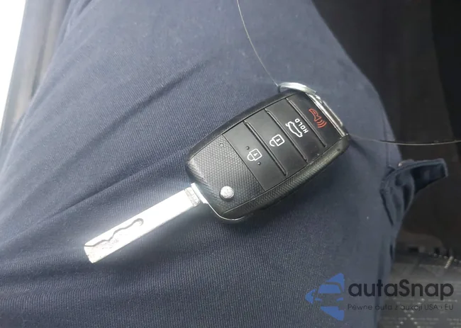 3KPA24AD2LE278353: 42928721