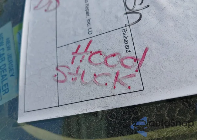 WBAPK5G5XBNN79010: 42929157