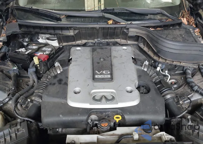 JN1BJ0RP0HM381894: 42929672