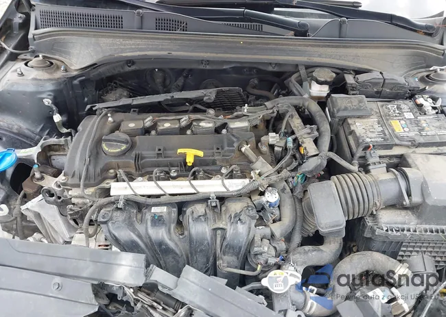 3KPF54AD9NE484236: 42929679