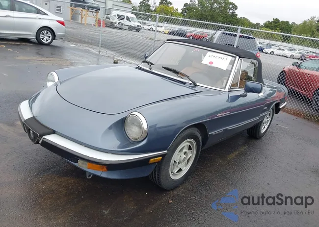 ZARBA541XG1037637: 42929553