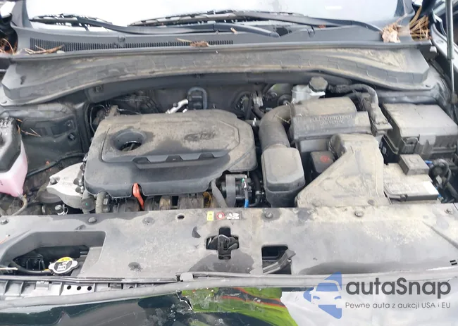 5NMS3CAD5LH303864: 42929651