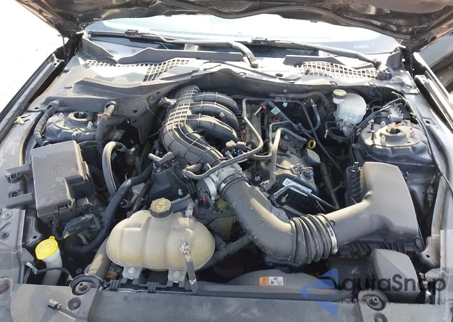 1FA6P8AM7F5344576: 42931311