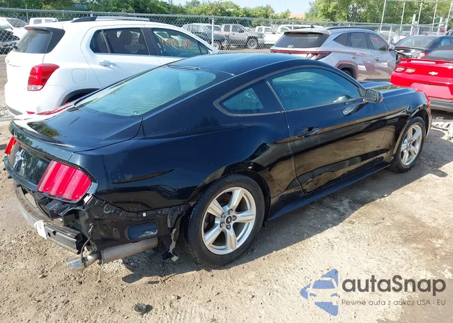 1FA6P8AM7F5344576: 42931311