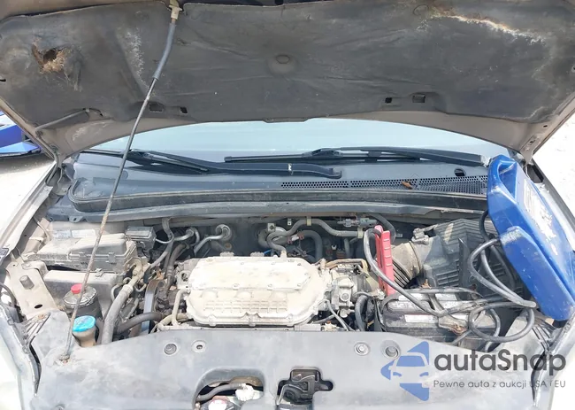 5FNRL38407B024348: 42931409