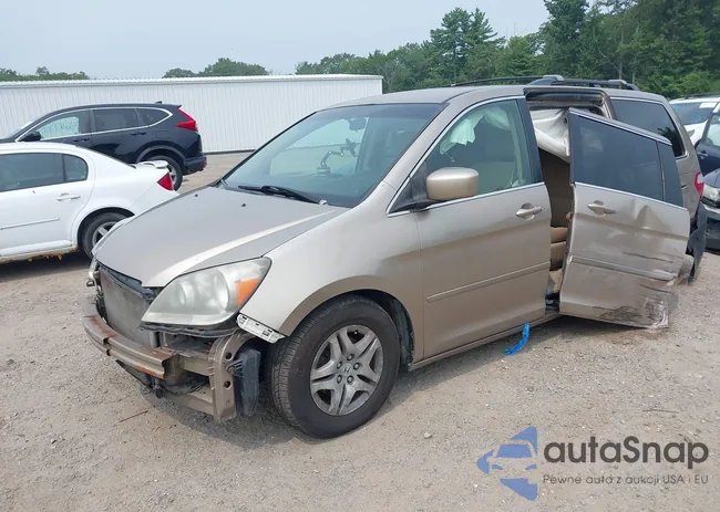 5FNRL38407B024348: 42931409