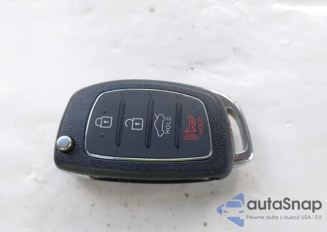 5NPE24AF0GH313024: 42932857