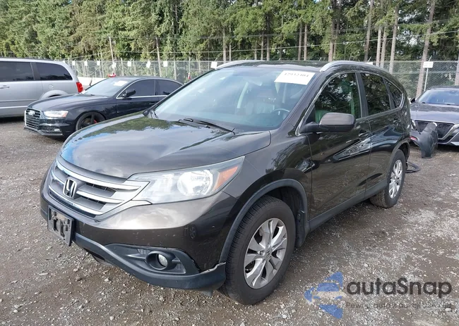 5J6RM4H75DL049696: 42932404