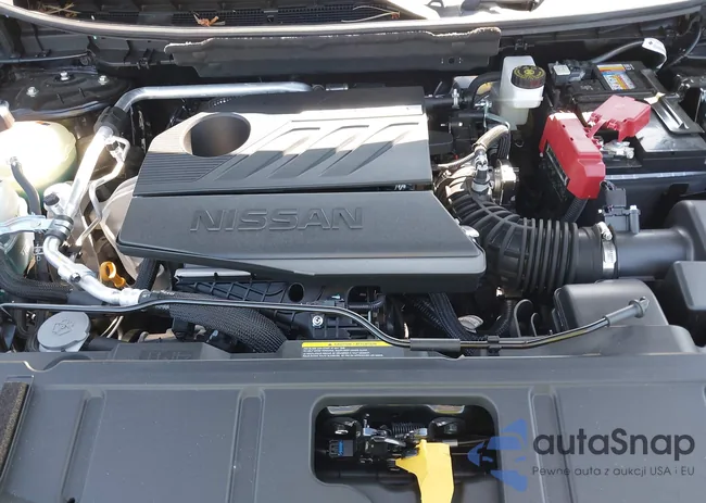 JN8BT3DD7SW302842: 42932516