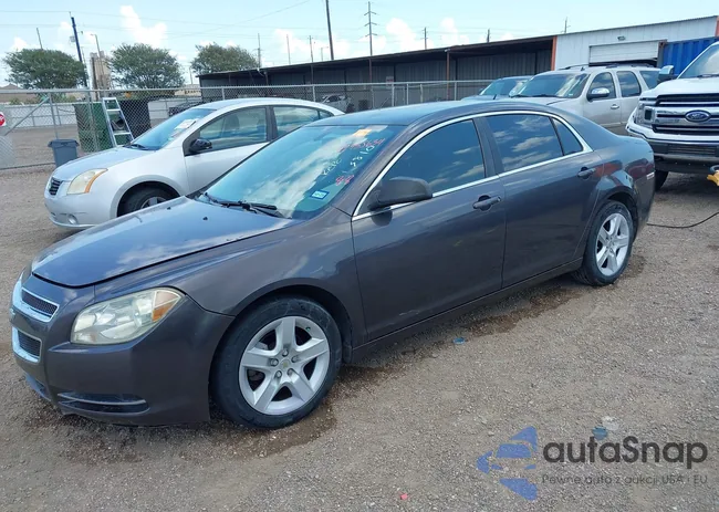 1G1ZB5EB6AF293810: 42935634