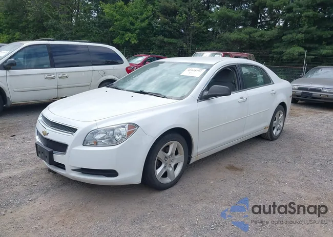 1G1ZB5E16BF210529: 42935797