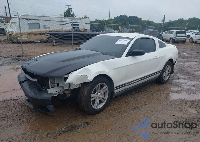 1ZVBP8AM2C5271568: 42937026