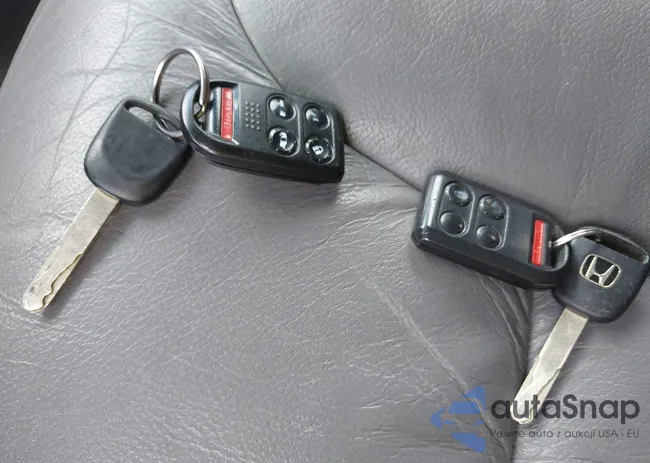 5FNRL38628B403550: 42937154