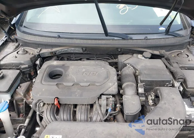 5NPE24AF2HH491583: 42937996