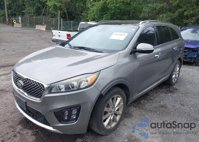 5XYPKDA50GG012065: 42938693