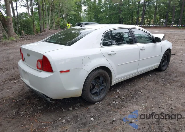 1G1ZB5E0XCF305829: 42938229