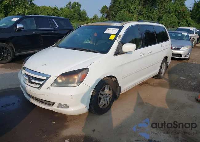 5FNRL38856B019616: 42939779