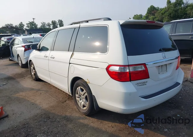 5FNRL38856B019616: 42939779