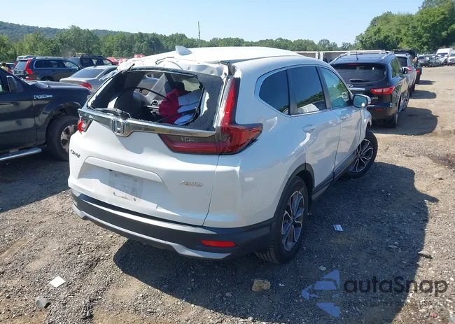 2HKRW2H81LH623081: 42940251