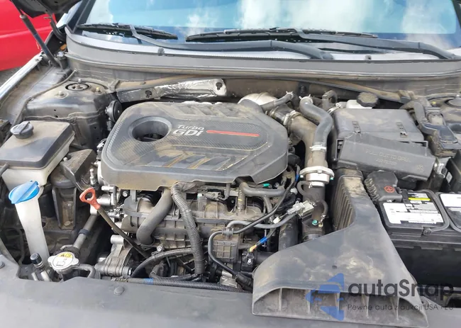 5NPE34AB3KH787763: 42941253