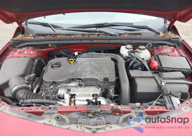 1G1ZD5STXRF110721: 42942328