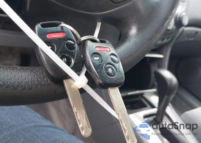 1HGCM56736A164186: 42943636