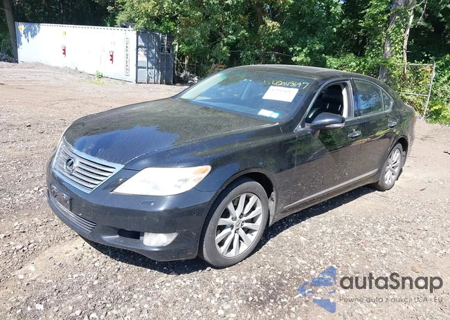 JTHCL5EF4B5011053: 42943697