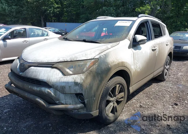 JTMWFREV4JD108827: 42944079