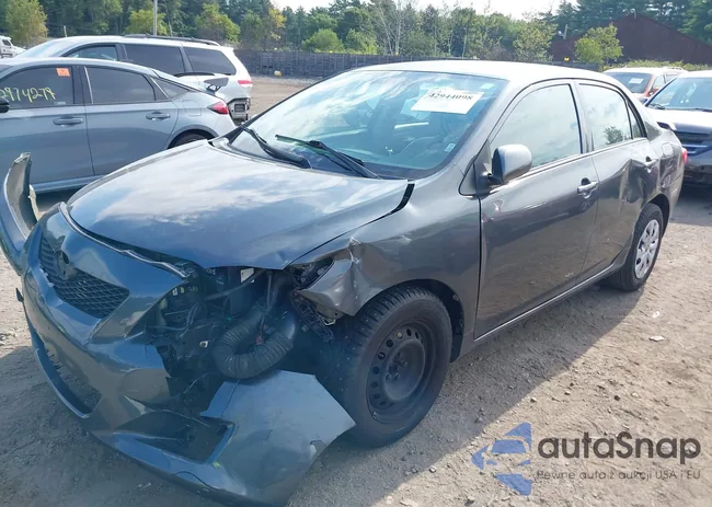 2T1BU40E89C183196: 42944098