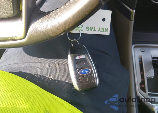 JF2SKAJC8LH487716: 42944255