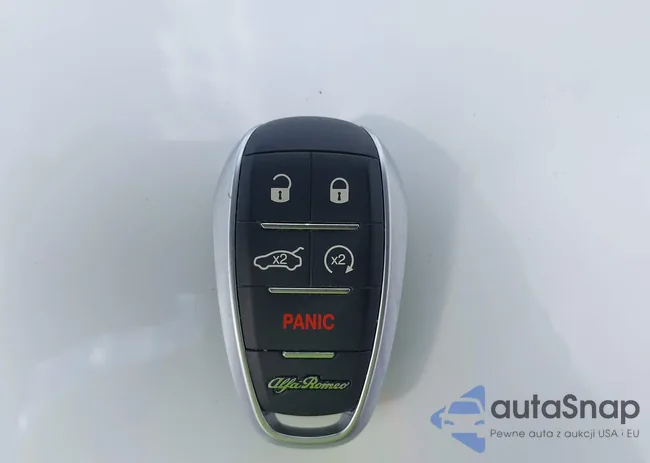 ZASPATDW6R3060733: 42945642