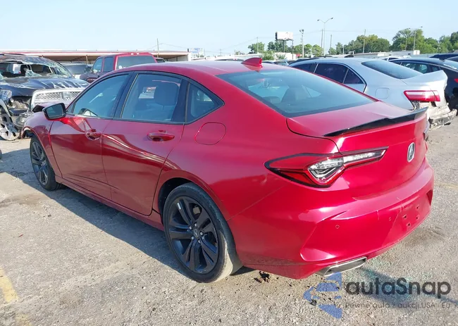 19UUB5F55MA006020: 42945872