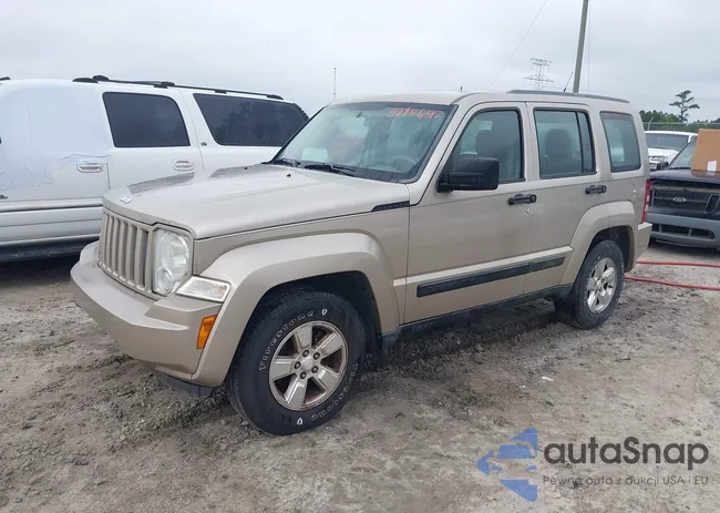 1J4PP2GK5BW504020: 42946517