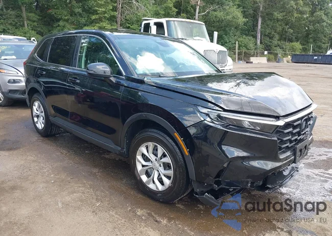 7FARS4H29PE020407: 42947773