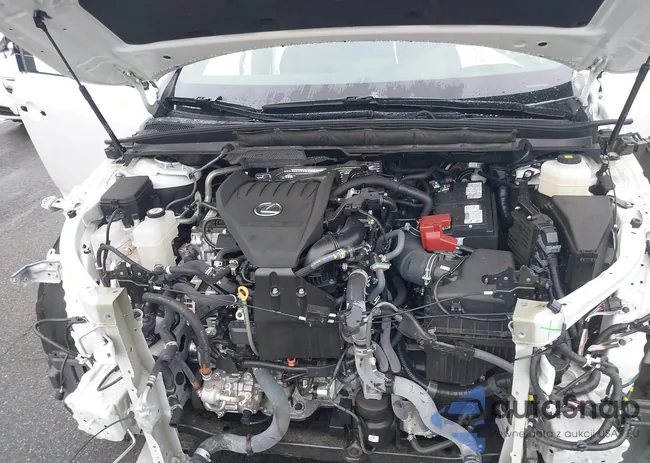 2T2BAMBA9RC025173: 42948085