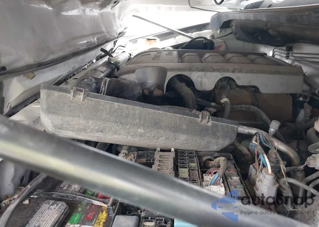 5TFEV54178X053255: 42949843