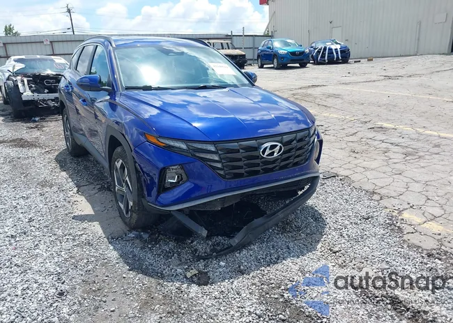 5NMJFCAE4PH196713: 42949944