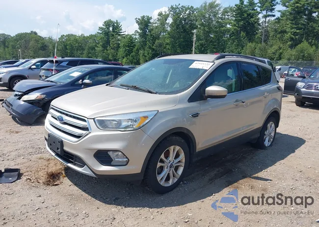 1FMCU0GD2JUA74262: 42949334