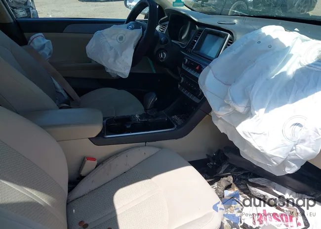 5NPE24AF2JH639513: 42951834