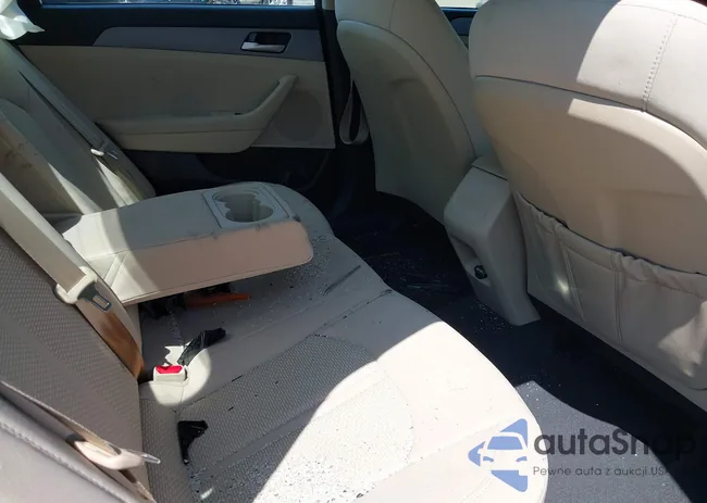 5NPE24AF2JH639513: 42951834