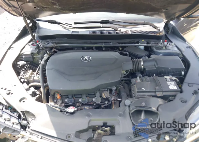 19UUB2F37HA006653: 42951130