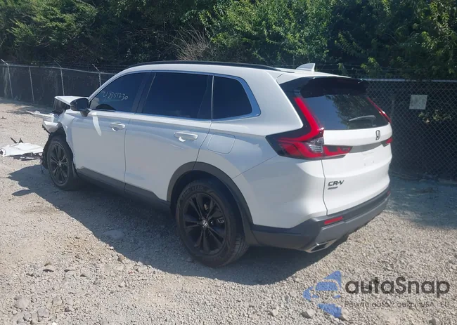 7FARS6H91PE006204: 42951230